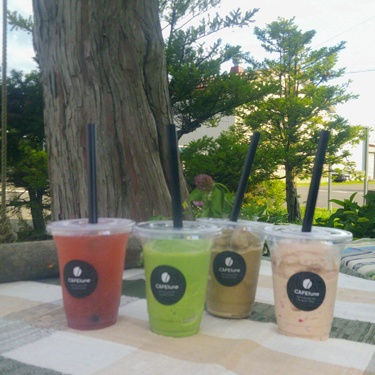 cafetune higashikawa