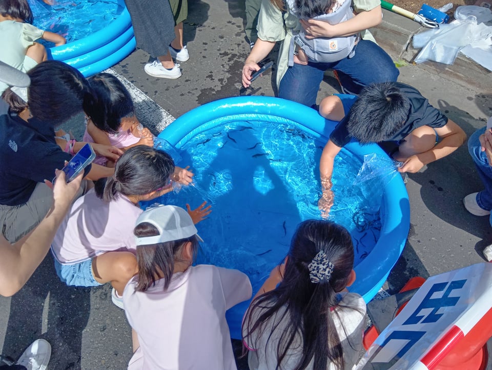 どじょう掴み