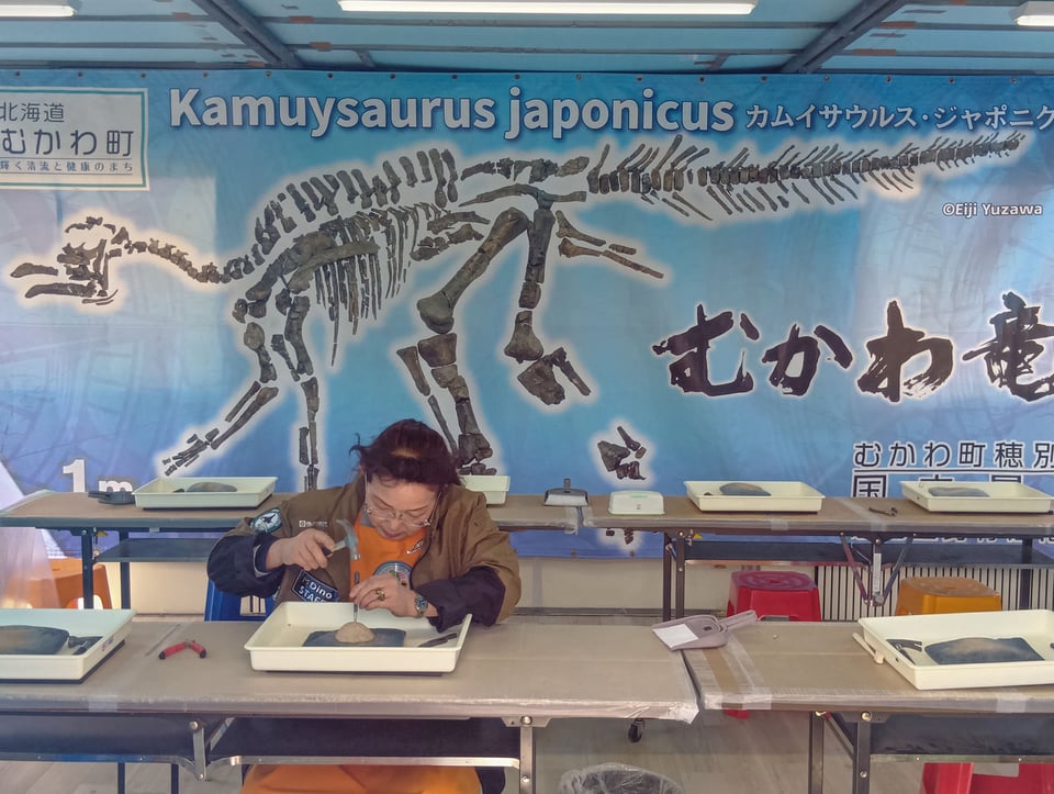 化石のクリーニング体験